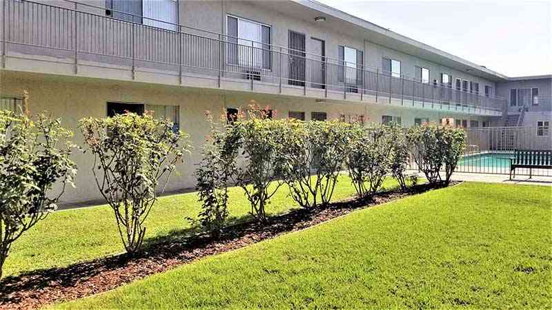 landscaped courtyard lawn overlooking sparkling swimming pool